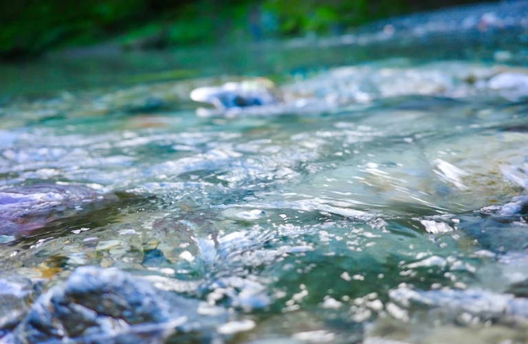 千葉県柏市で使うべき浄水器とは？井戸水の悩みと最適な対策| 千葉県の浄水器の販売ならSAIDAI